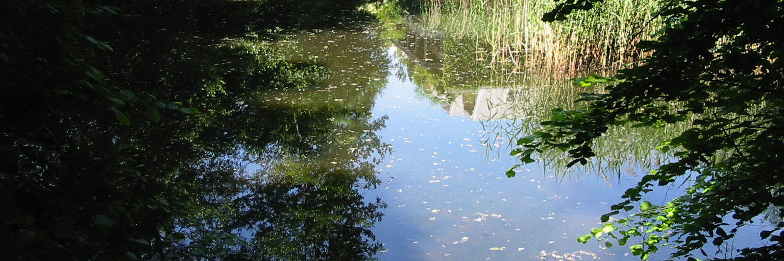 Wyler am Teich – Impression