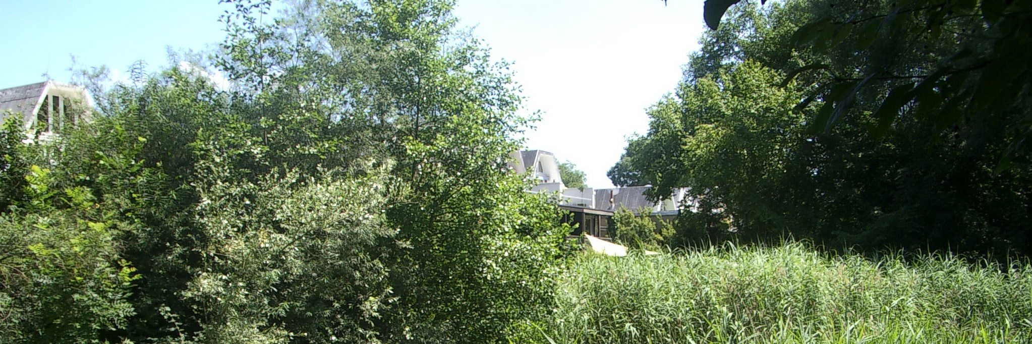 Wyler am Teich – Impression