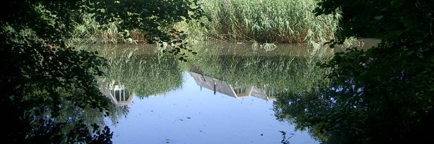 Wyler am Teich – Impression