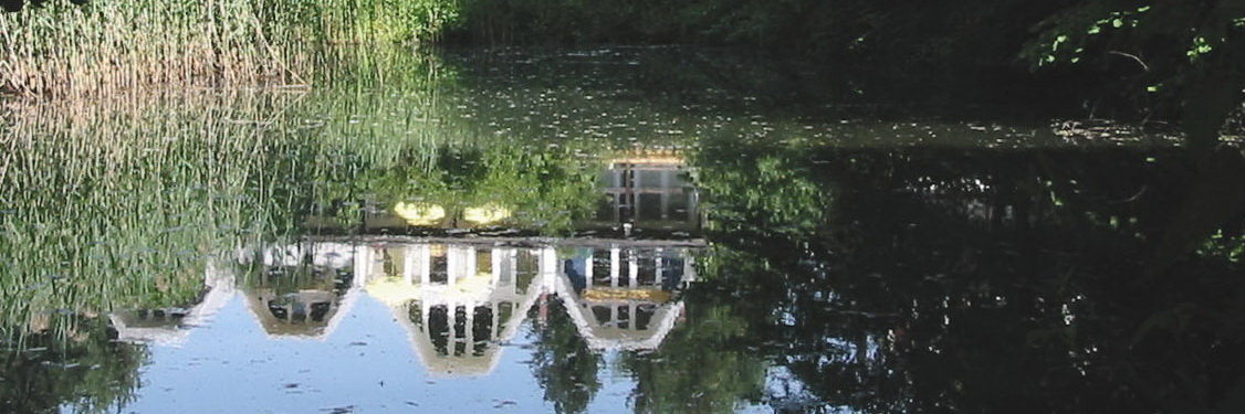 Wyler am Teich – Impression
