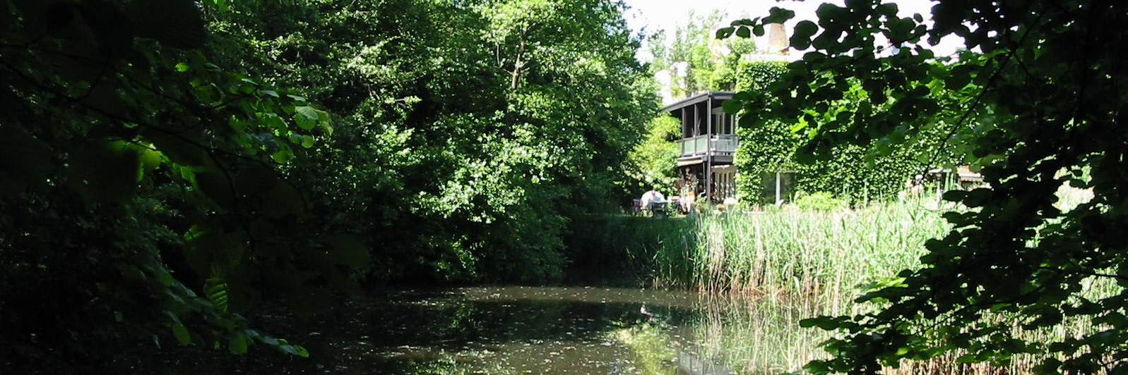 Wyler am Teich – Impression